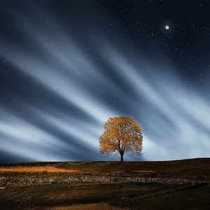 河南妇女bbw毛深深
